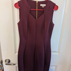 Calvin Klein Red Shift Dress